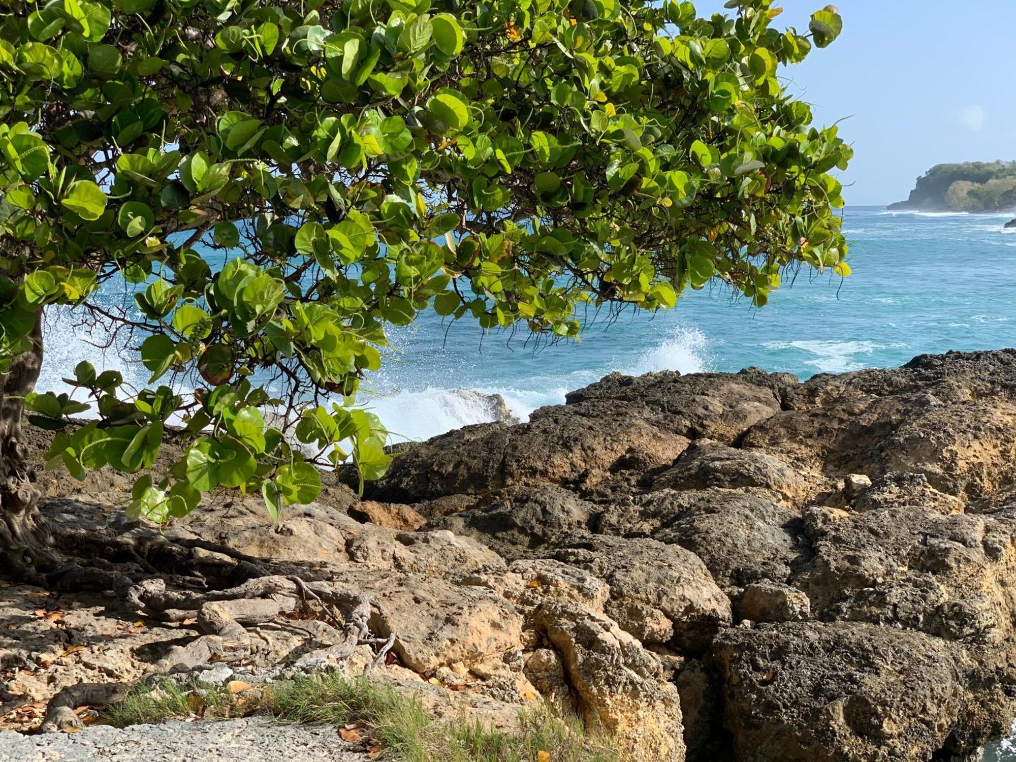 La Maison Creole Du Flamboyant - Proche Des Plages Anse-Bertrand 외부 사진