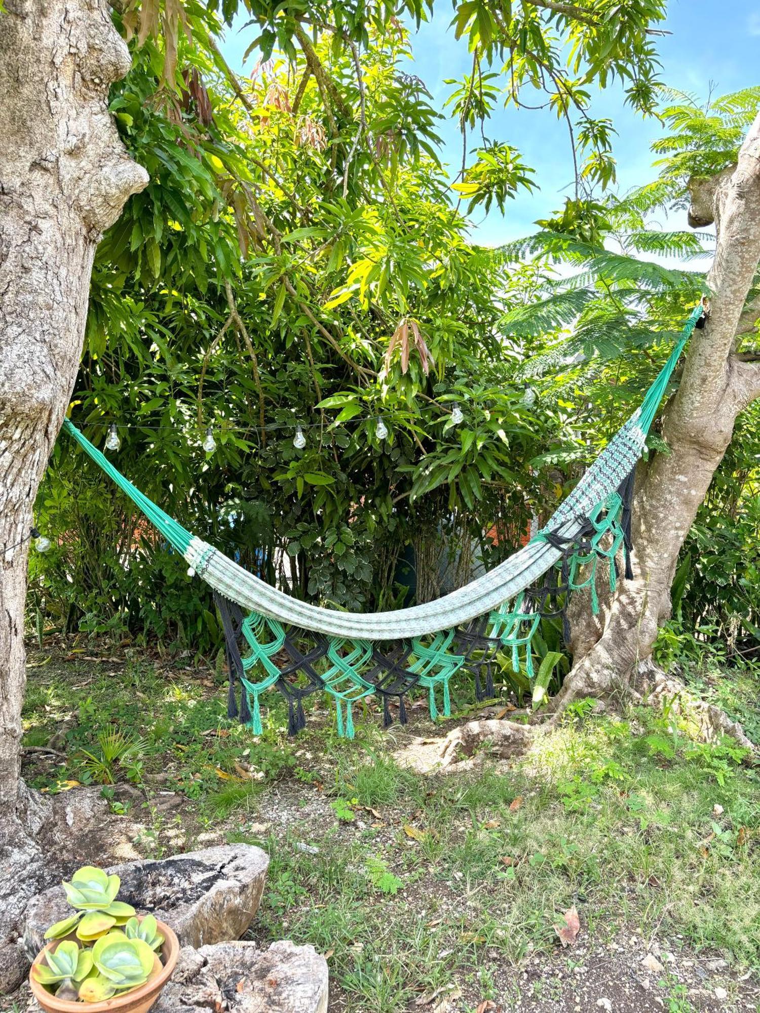 La Maison Creole Du Flamboyant - Proche Des Plages Anse-Bertrand 외부 사진